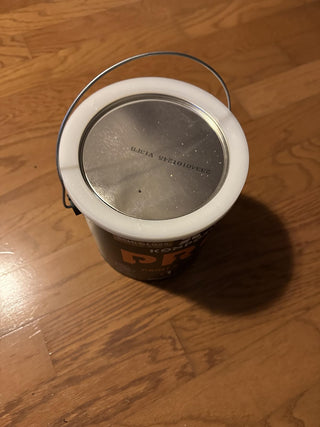 Customer photo — PRO Paint & Primer Interior/Exterior