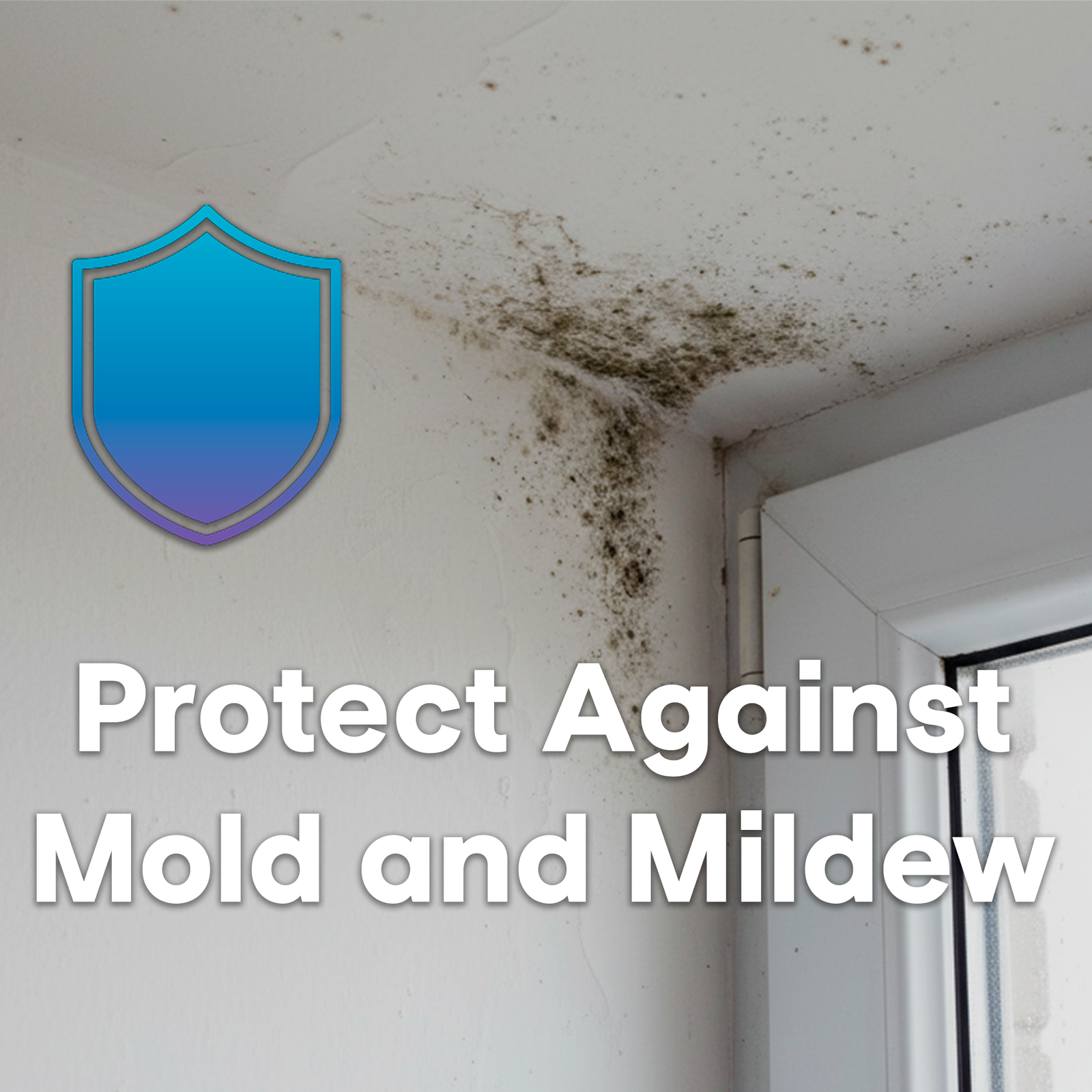 Anti-fungal humidity protection