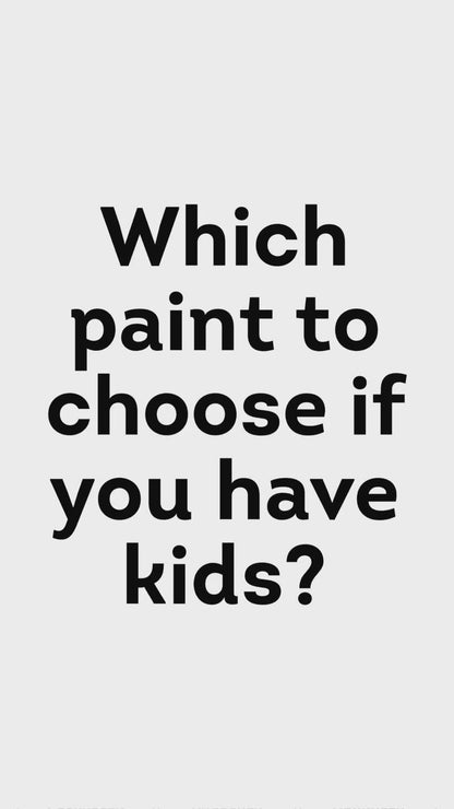 PRO Paint & Primer Interior/Exterior