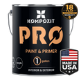 PRO Paint & Primer Interior/Exterior